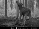 MDGC0002.JPG