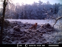 MDGC0009.JPG