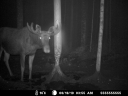 MDGC0012.JPG